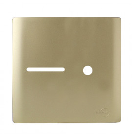Placa p/ 1 Interruptor + Furo 4x4 - Novara Dourado